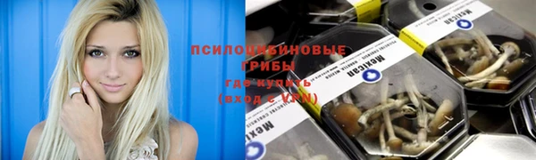 гашик Гусиноозёрск