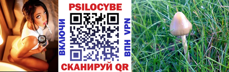 Галлюциногенные грибы Psilocybe  Купить  Выборг 
