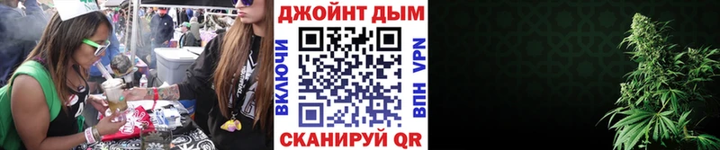 Купить где  Выборг  Бошки марихуана индика 
